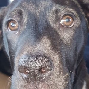 Meet your Posher, Tauna